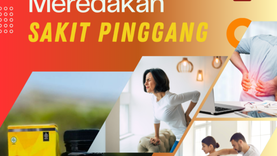 Centra Herbs: Herbal untuk Kesehatan yang Lebih Masuk Akal